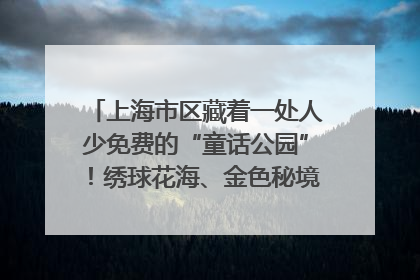 上海市区藏着一处人少免费的“童话公园”！绣球花海、金色秘境……地铁直达→