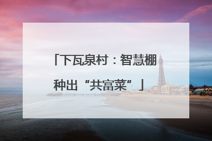下瓦泉村：智慧棚种出“共富菜”