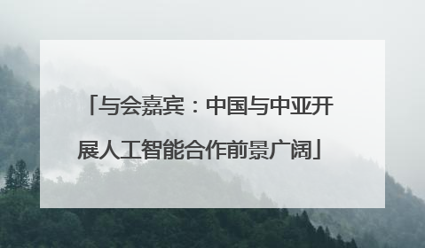 与会嘉宾：中国与中亚开展人工智能合作前景广阔