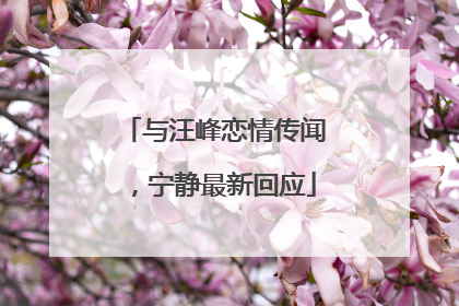 与汪峰恋情传闻，宁静最新回应