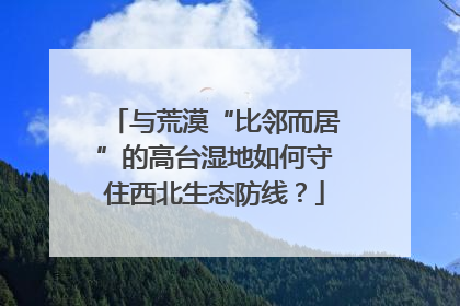 与荒漠“比邻而居”的高台湿地如何守住西北生态防线？