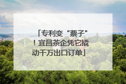 专利变“票子”！宜昌茶企凭它撬动千万出口订单