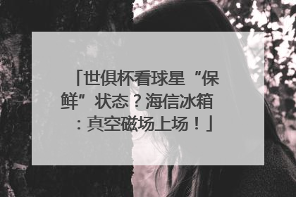 世俱杯看球星“保鲜”状态？海信冰箱：真空磁场上场！