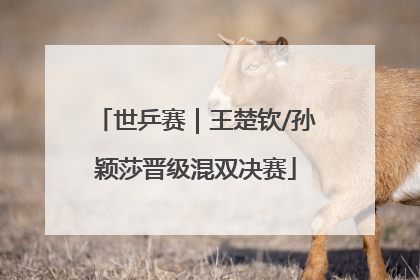 世乒赛｜王楚钦/孙颖莎晋级混双决赛