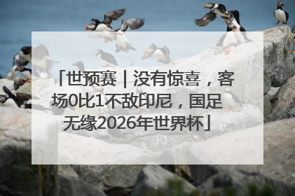 世预赛｜没有惊喜，客场0比1不敌印尼，国足无缘2026年世界杯