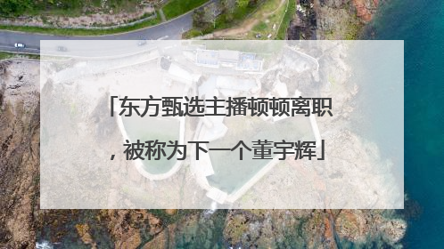 东方甄选主播顿顿离职，被称为下一个董宇辉