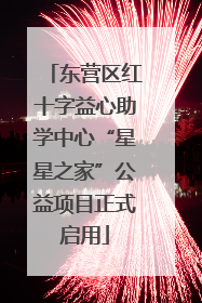 东营区红十字益心助学中心“星星之家”公益项目正式启用