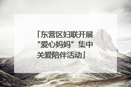 东营区妇联开展“爱心妈妈”集中关爱陪伴活动