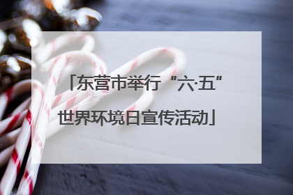 东营市举行“六·五”世界环境日宣传活动