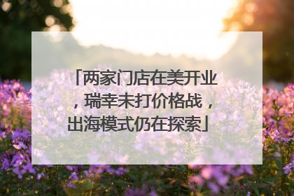 两家门店在美开业，瑞幸未打价格战，出海模式仍在探索