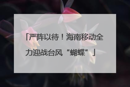严阵以待！海南移动全力迎战台风“蝴蝶”