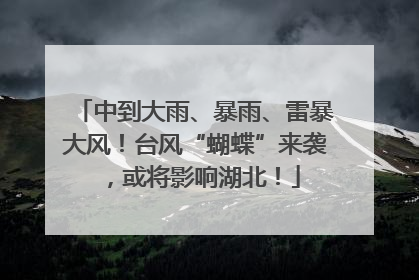 中到大雨、暴雨、雷暴大风！台风“蝴蝶”来袭，或将影响湖北！