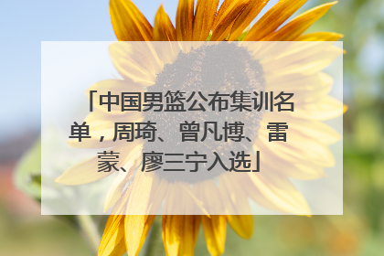 中国男篮公布集训名单，周琦、曾凡博、雷蒙、廖三宁入选