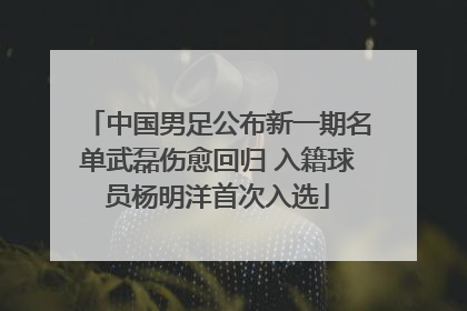 中国男足公布新一期名单武磊伤愈回归 入籍球员杨明洋首次入选