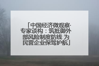 中国经济微观察·专家谈构：筑抵御外部风险制度防线 为民营企业保驾护航