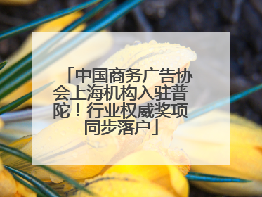 中国商务广告协会上海机构入驻普陀！行业权威奖项同步落户