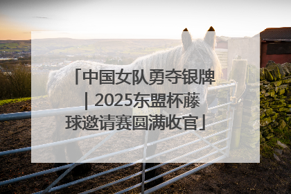 中国女队勇夺银牌｜2025东盟杯藤球邀请赛圆满收官