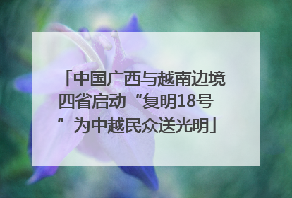 中国广西与越南边境四省启动“复明18号”为中越民众送光明