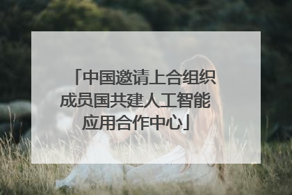 中国邀请上合组织成员国共建人工智能应用合作中心