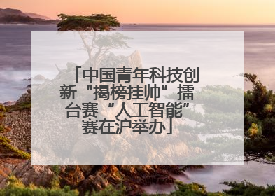 中国青年科技创新“揭榜挂帅”擂台赛“人工智能”赛在沪举办