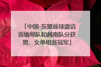 中国-东盟藤球邀请赛缅甸队和越南队分获男、女单组赛冠军