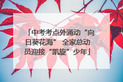 中考考点外涌动“向日葵花海” 全家总动员迎接“凯旋”少年