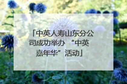 中英人寿山东分公司成功举办 “中英嘉年华”活动