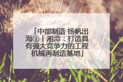 中部制造 扬帆出海①丨湘潭：打造具有强大竞争力的工程机械再制造基地