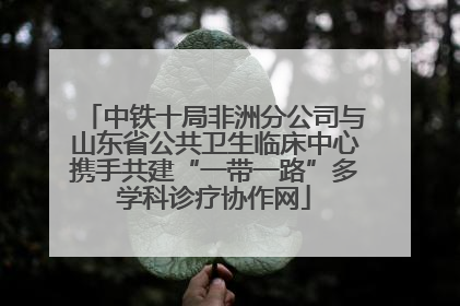 中铁十局非洲分公司与山东省公共卫生临床中心携手共建“一带一路”多学科诊疗协作网