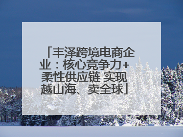 丰泽跨境电商企业：核心竞争力+柔性供应链 实现越山海、卖全球