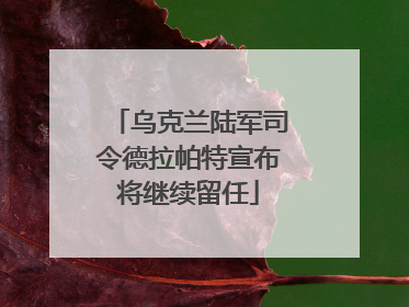 乌克兰陆军司令德拉帕特宣布将继续留任