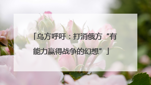 乌方呼吁：打消俄方“有能力赢得战争的幻想”