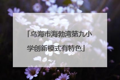 乌海市海勃湾第九小学创新模式有特色