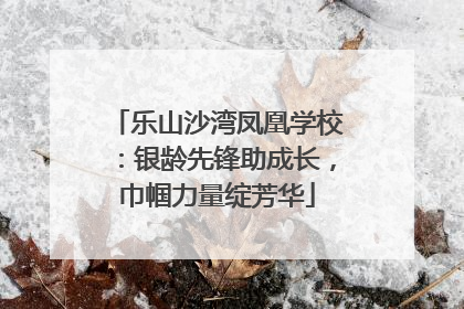 乐山沙湾凤凰学校：银龄先锋助成长，巾帼力量绽芳华