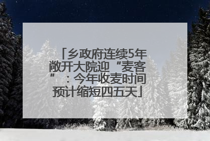 乡政府连续5年敞开大院迎“麦客”：今年收麦时间预计缩短四五天