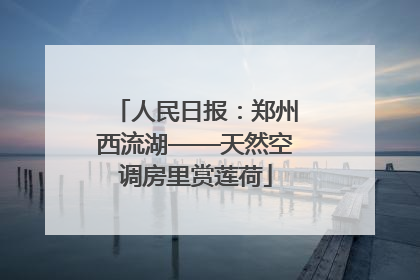 人民日报：郑州西流湖——天然空调房里赏莲荷
