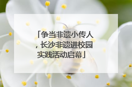 争当非遗小传人，长沙非遗进校园实践活动启幕