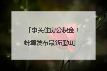 事关住房公积金！蚌埠发布最新通知