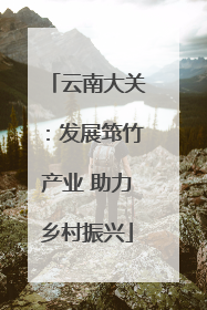 云南大关：发展筇竹产业 助力乡村振兴