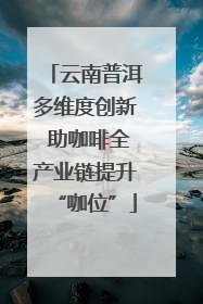 云南普洱多维度创新 助咖啡全产业链提升“咖位”