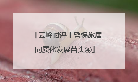 云岭时评丨警惕旅居同质化发展苗头④