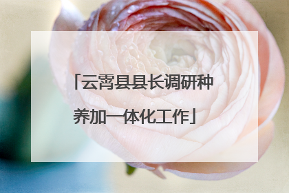 云霄县县长调研种养加一体化工作