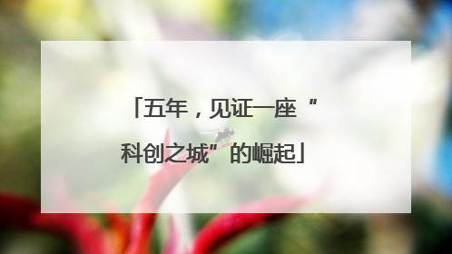 五年，见证一座“科创之城”的崛起