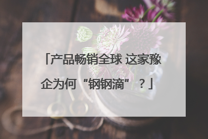 产品畅销全球 这家豫企为何“钢钢滴”？