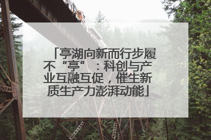 亭湖向新而行步履不“亭”：科创与产业互融互促，催生新质生产力澎湃动能