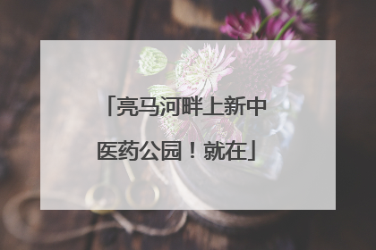 亮马河畔上新中医药公园！就在