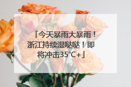 今天暴雨大暴雨！浙江持续湿哒哒！即将冲击35℃+