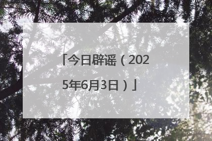 今日辟谣（2025年6月3日）