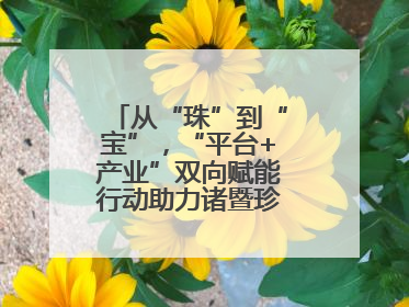 从“珠”到“宝”，“平台+产业”双向赋能行动助力诸暨珍珠升级蜕变