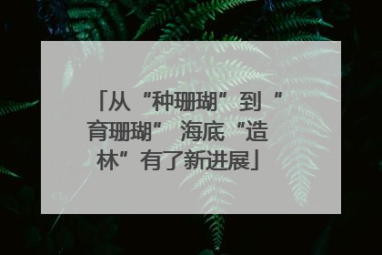 从“种珊瑚”到“育珊瑚” 海底“造林”有了新进展